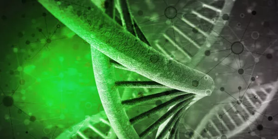 Jena Bioscience Fluorescent Labeling Kit: The First Choice for Scientific Research Jena Bioscience Fluorescent Labeling Kit: The First Choice for Scientific Research